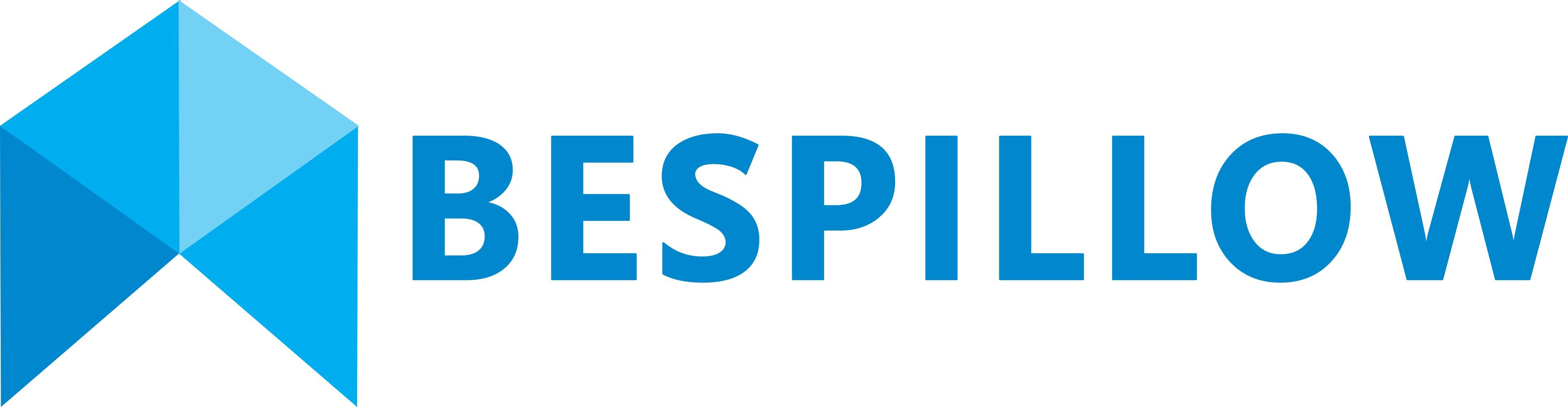 BESPILLOW Cervical Pillow | Supportive Bespillow Pillows